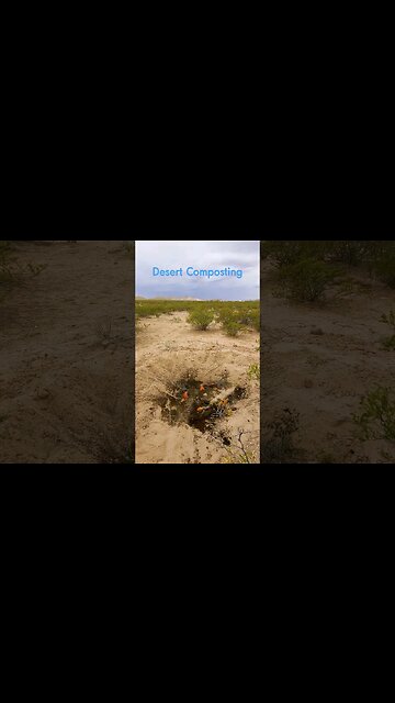 desert pumpkin coffee compost