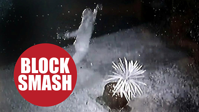 CCTV of shocking moment a thug hurled a concrete slab through the window of a family home