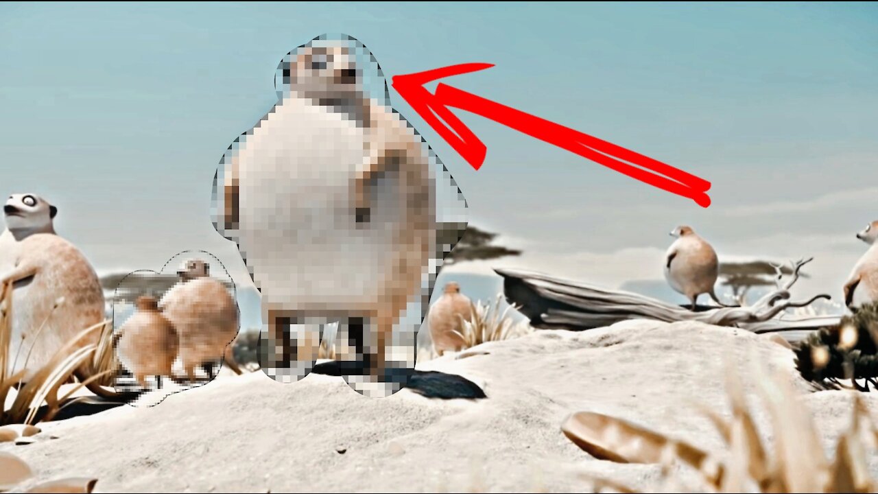 Funny 🤣 fat 😋 animals 😹🙉