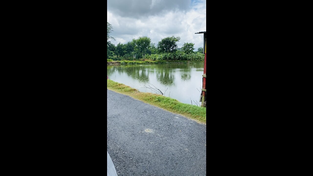 Enjoy