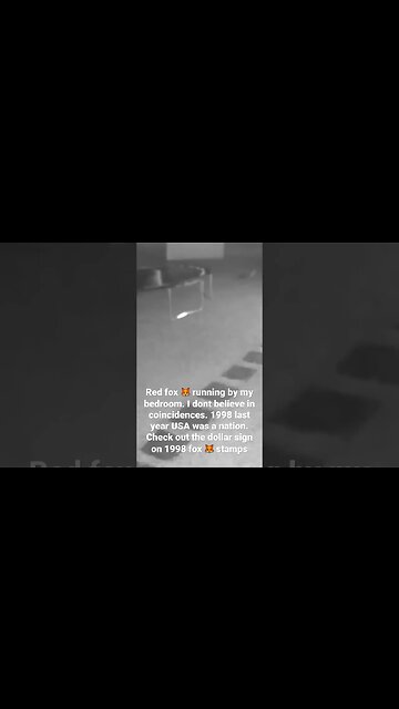 red 🦊 fox runs by my bedroom on video. I live in the city in a residential area-No coincidence🇺🇸