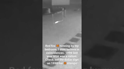 red 🦊 fox runs by my bedroom on video. I live in the city in a residential area-No coincidence🇺🇸