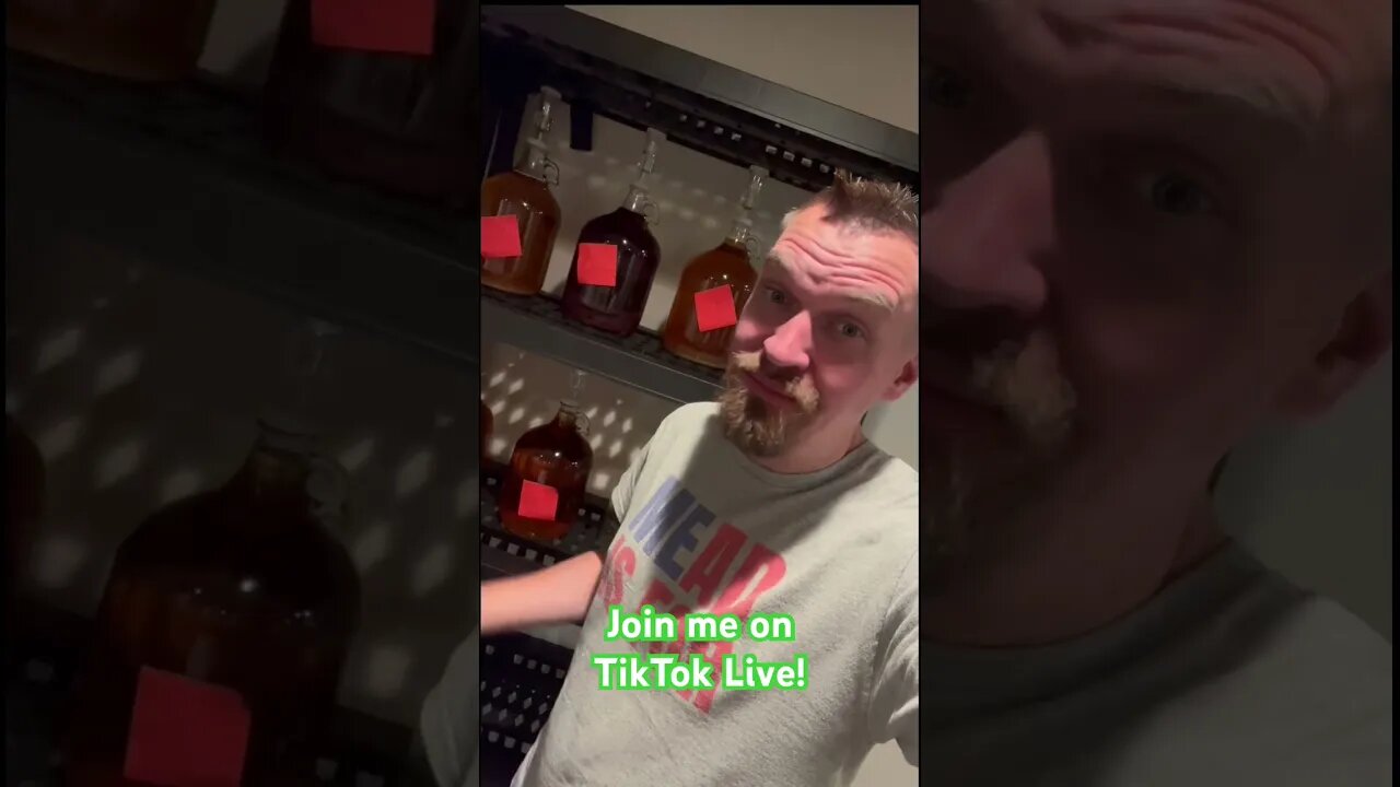 Join me on TikTok Live! Every Wednesday! #mead #honeywine #tiktok