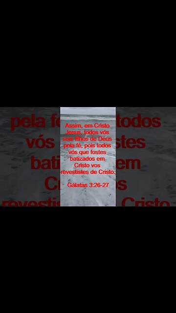 Verso Do Dia | Leitura Inspiradora Para Começar Seu Dia. | 15