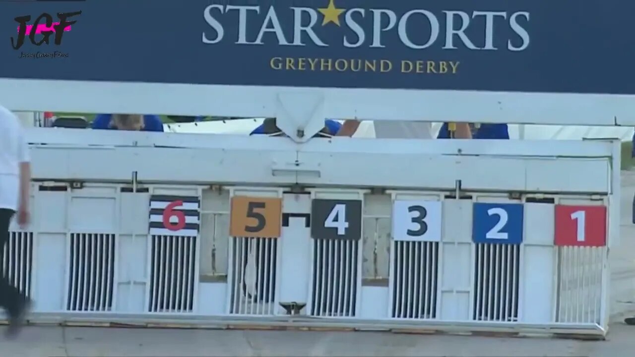 Greyhound dog racing - Track race 480m