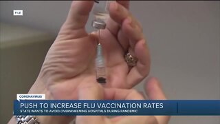 Gov. Whitmer urging Michiganders to get flu vaccine