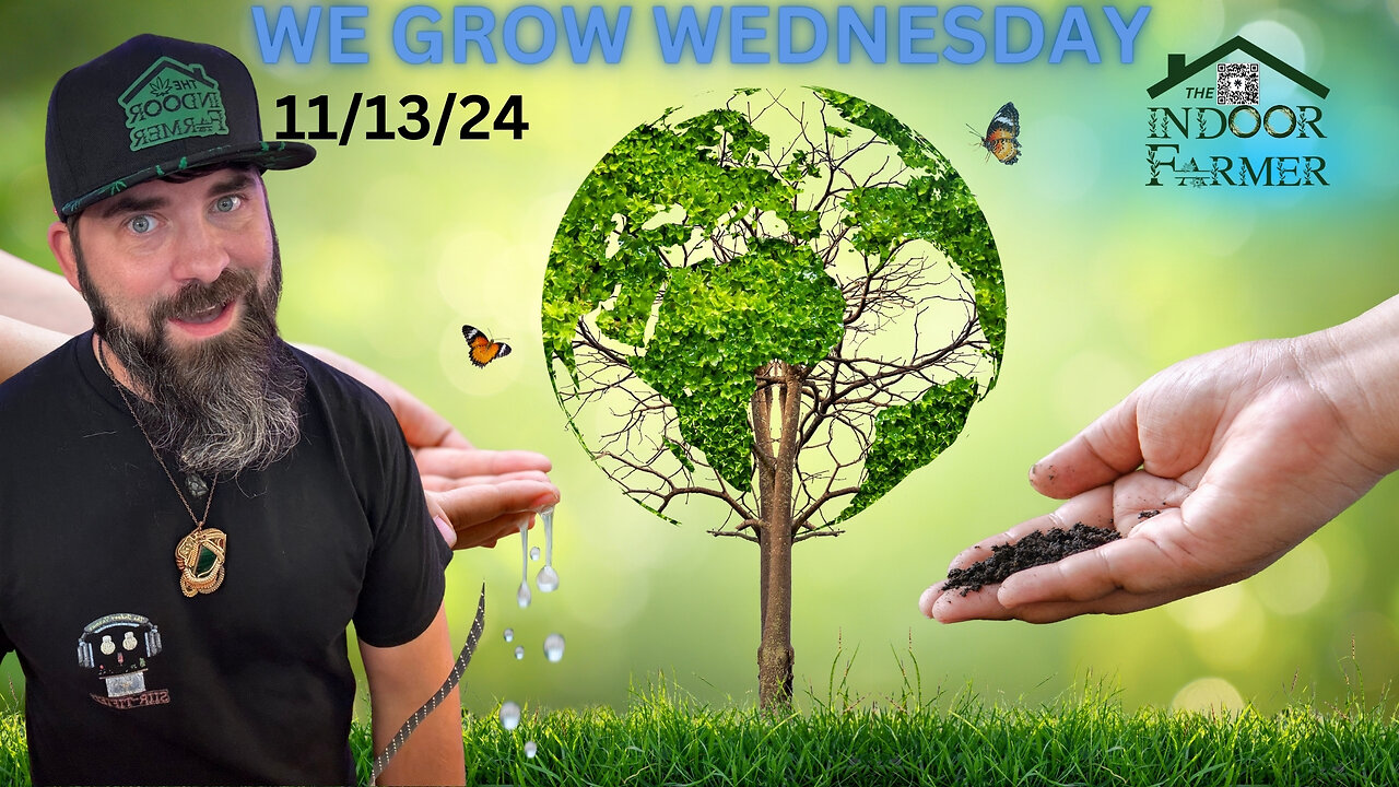 We Grow Wednesday 11/13/24, The World Is About To Change