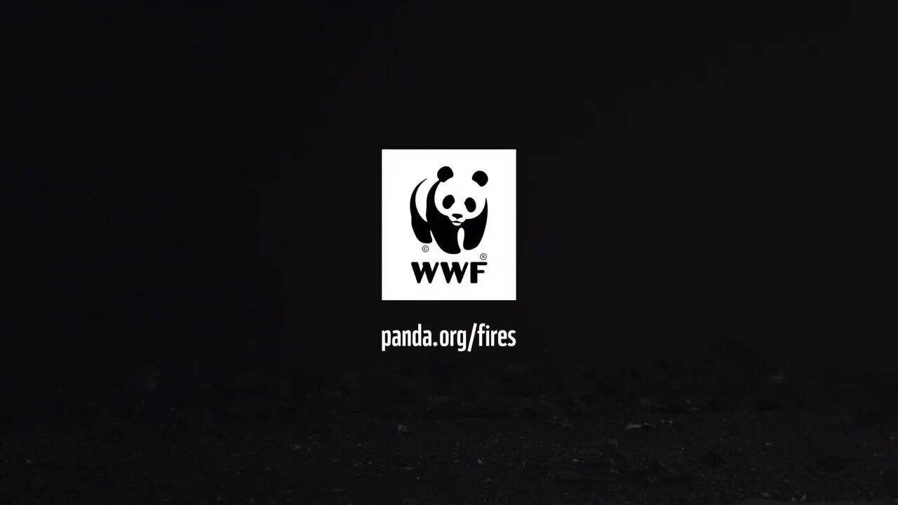 A Flammable Planet This Incredible One-Minute Stop-Motion Film From WWF Is Worth Watching 易燃星球 值得一看