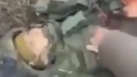 Update - Ukraine of war | NEWS-19