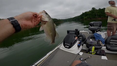 Late Summer Through Fall Transition Bassin'