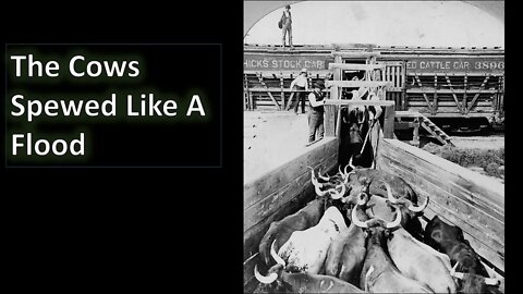 The Cows Spewed Like A Flood - AM Service