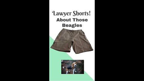 About Those Fauci Beagles...#shorts