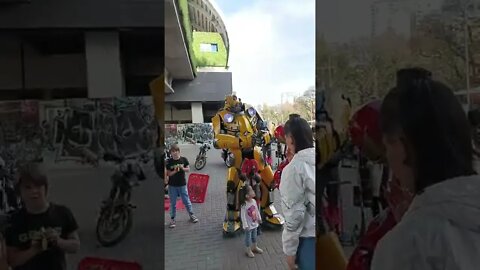 Bumblebee version manaos