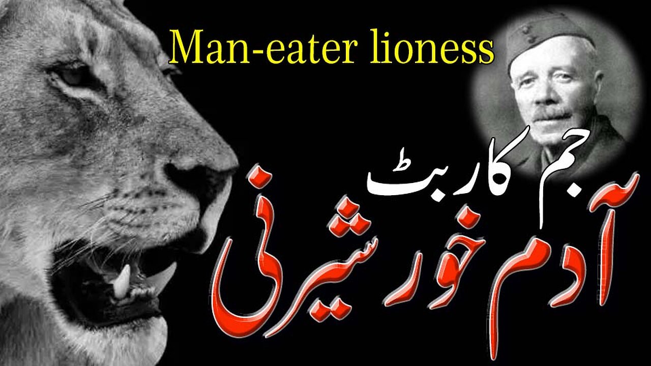 Man Eater Lioness.