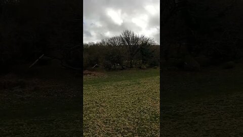 walking to my pitch at Reddacleeve farm campsite. Dartmoor. 24th March 2023