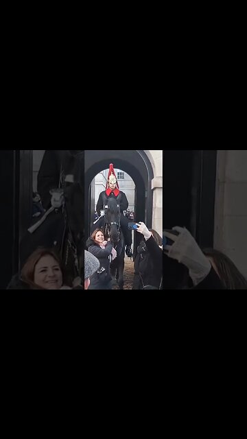 Don't pull the Reins both sides #thekingsguard