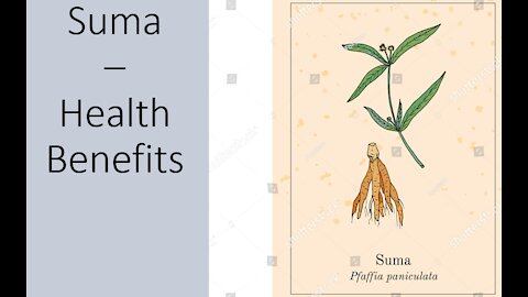 Suma - Pfaffia paniculata - Brazillian Ginseng - Health Benefits