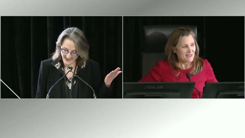 Ewa Krajewska, Lawyer from the JCCF Questions Chrystia Freeland at EMA (POEC) hearing 2022-11-24