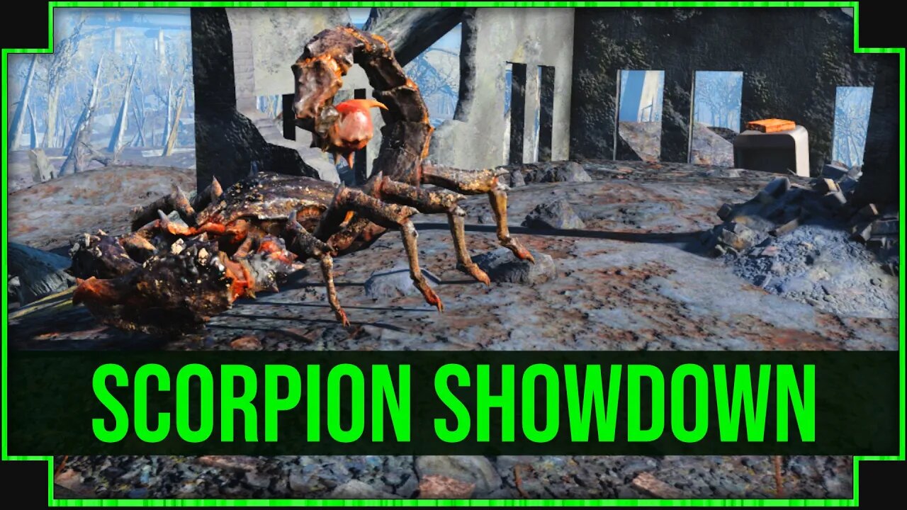 Scorpion Showdown in Fallout 4 - Who Will Be The Victor!