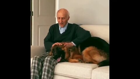 #shortscatsvideos #shorts cats videos #shortspetsvideos #shortspetsvideos #shortsanimalsvideos