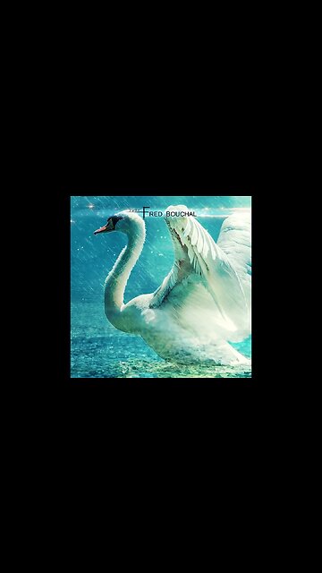 #piano #cello #music #classicalmusic