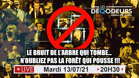 LE BRUIT DE L'ARBRE QUI TOMBE (live du 14 juillet 2021)