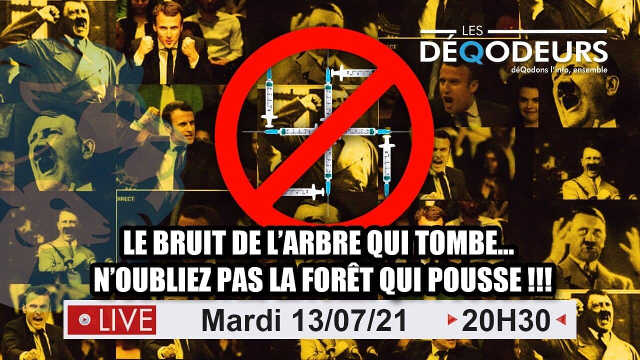 LE BRUIT DE L'ARBRE QUI TOMBE (live du 14 juillet 2021)