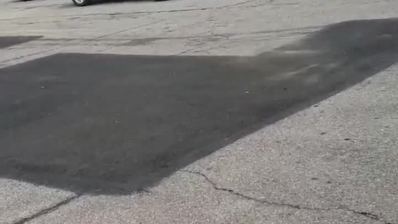 RAW: Bystander captures fight with police before Lorain police cruiser is stolen