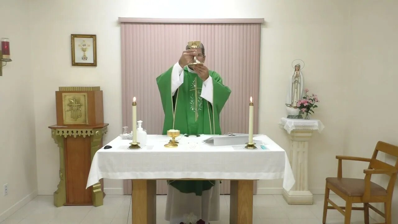 November 15 - Weekday Mass