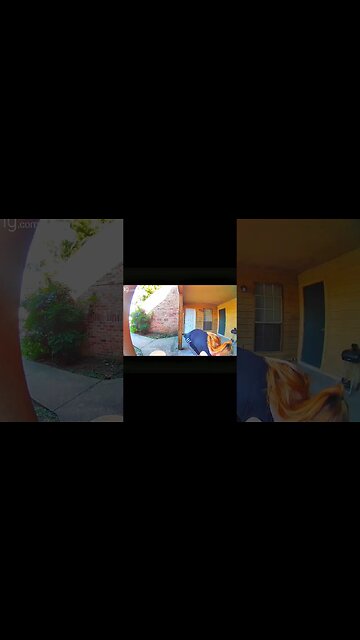 Woman stealing package