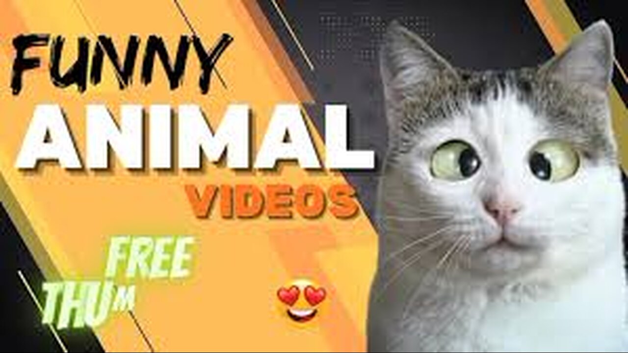 Funny animals 😄hub,funny animals club youtube, 🤣, funny animals dancing 💃😄, funny animals fighting 😄