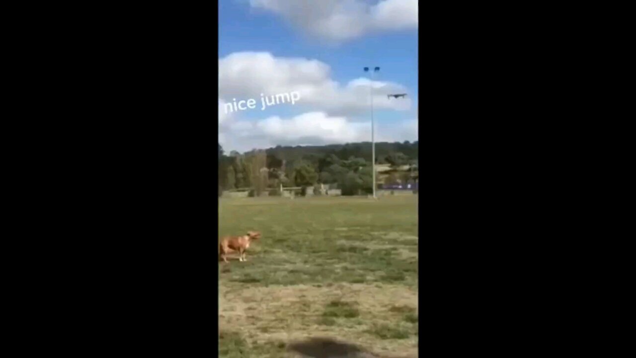 The attempt to capture the drone failed!