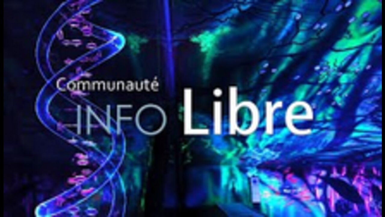 Mini live du 3 août