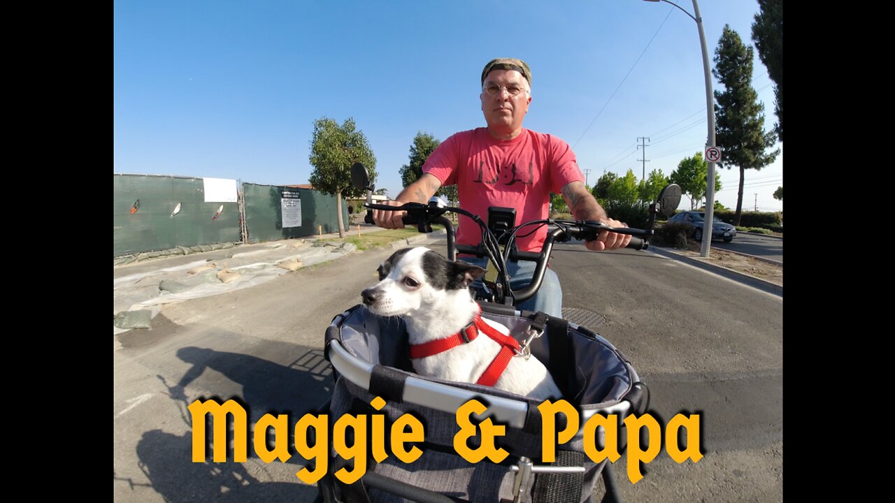 A Little eBike Ride for Maggie the Chihuahua with her Papa on Father's Day