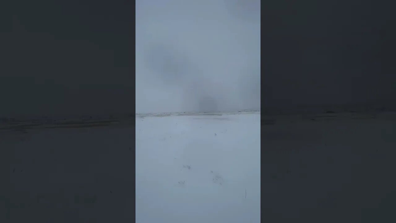 Wintering Cattle in Extreme Weather