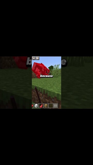 Shower Thoughts #113