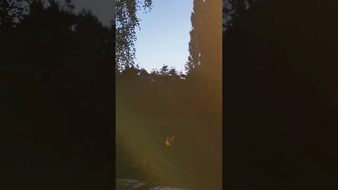 #veiws_viral_video_subscribers_grow sunrise 🌅 on the last Monday before September #clip enjoy 😉