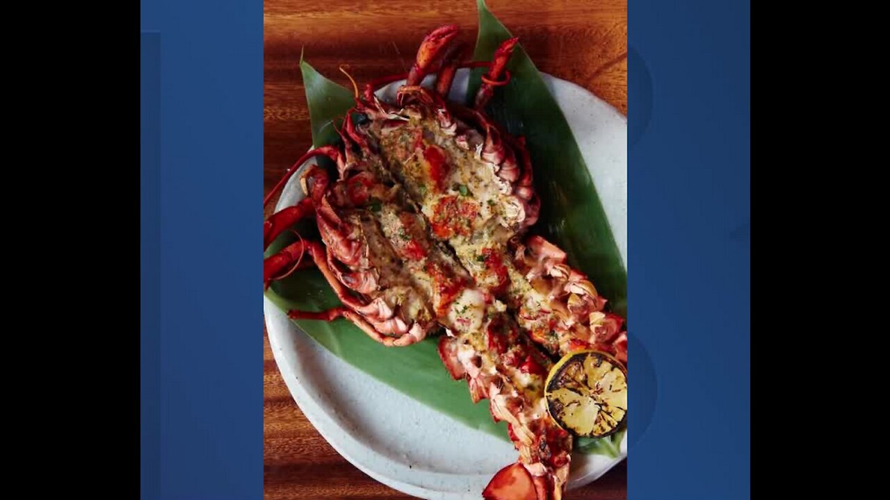 Tasty Tuesday with Melinda Sheckells | Feb.9, 2021