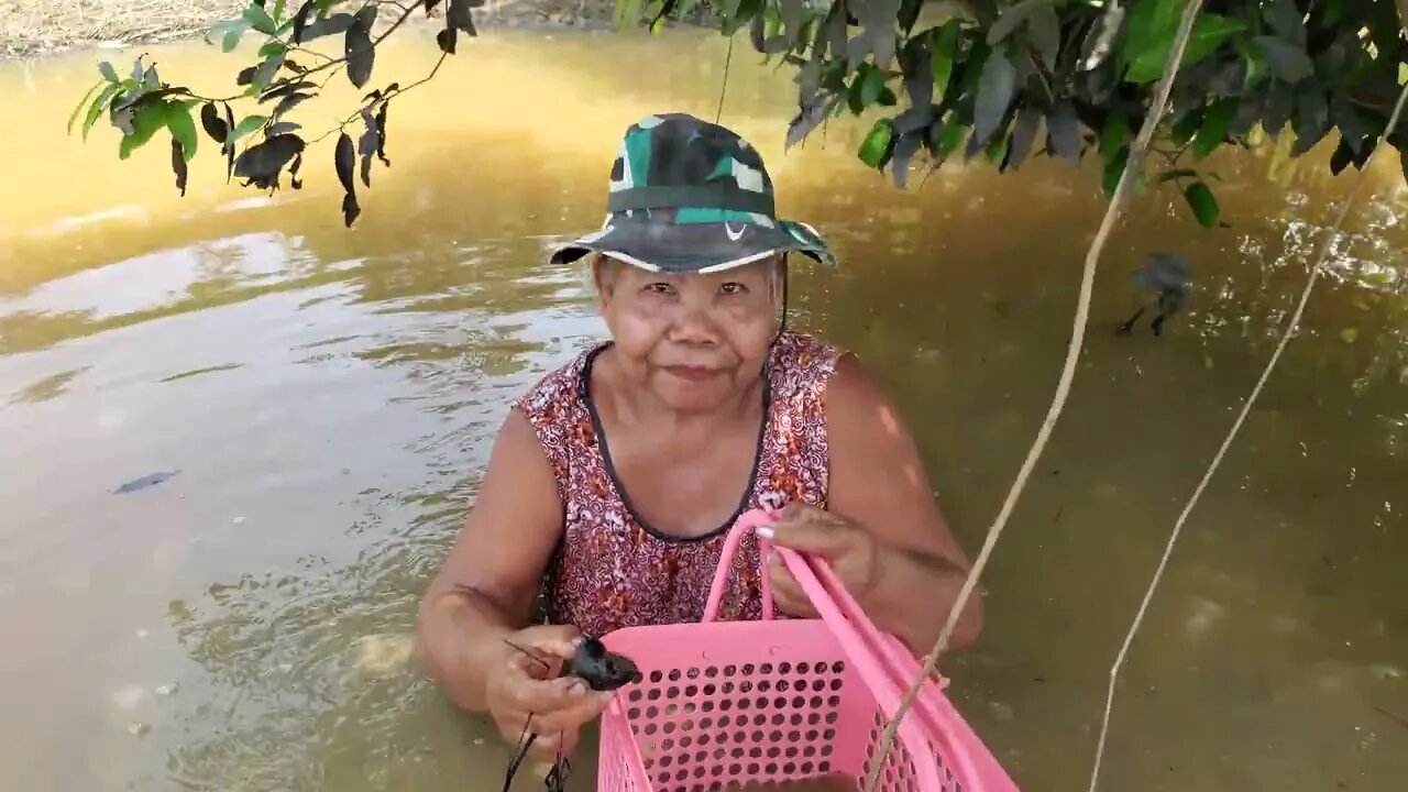 Homeless Thai Swampwoman is Master at Finding Snails!
