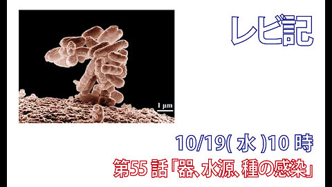 ｢器、水源、種の汚染｣(レビ11.32-38)みことば福音教会2022.10.19(水)