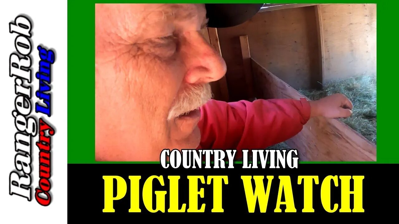 Homestead On Piglet Watch