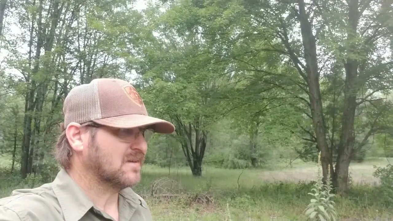 Improvised Crimping Update #92 Landscaping for Whitetails