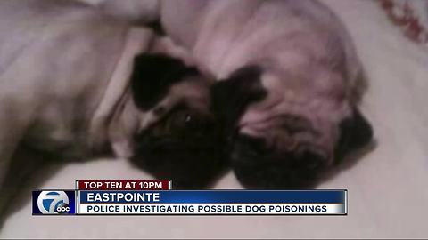 Neighbors in Eastpointe worry someone is poisoning their dogs