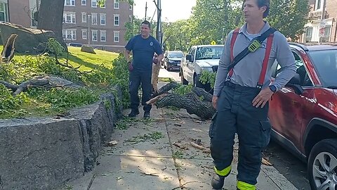 Boston fire department respond to down tree at 135 Townsend Street