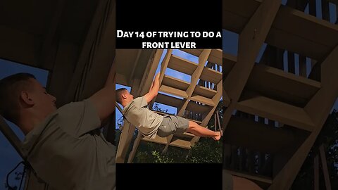 My dog had to check on me. 🐕 #workout #fun #practice #frontlever #calisthenics #shorts