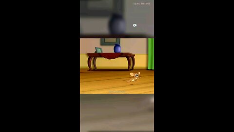 Tom And Jerry Show