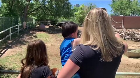 Same animals, fewer people: Denver Zoo reopens to members