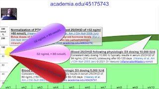 Vitamin D Pharmacology: Review, Reduction, Relevance, Reasoned Rant