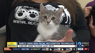 BARCS announce new facial recognition technology for lost pets