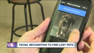 Facial recognition to find lost pets